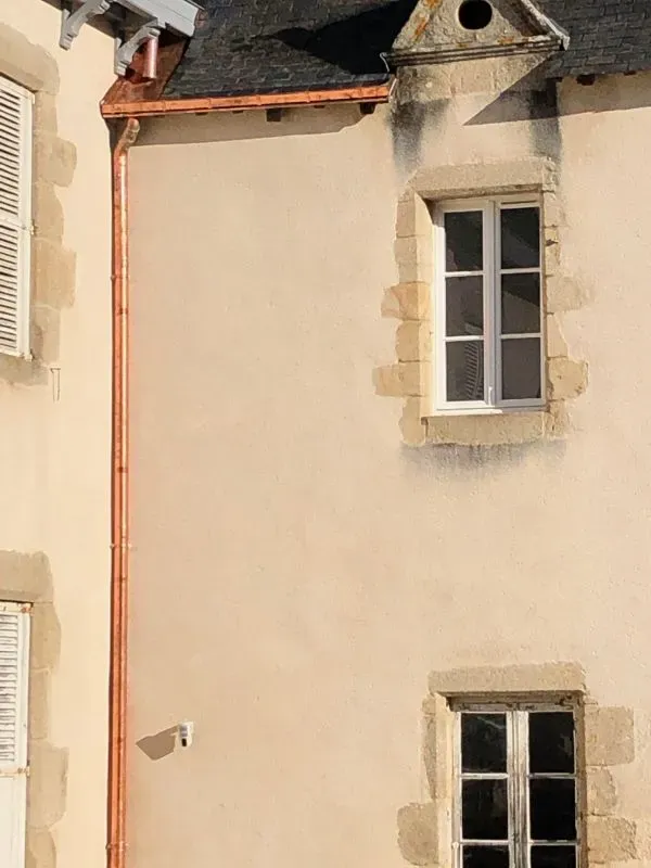 photos